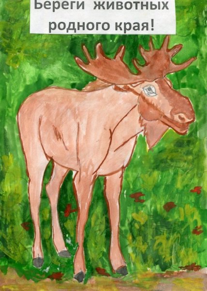 Плакат берегите животных