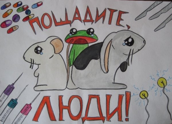 Плакат берег те животных