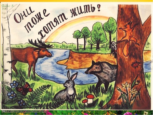 Рисунок на тему охрана природы