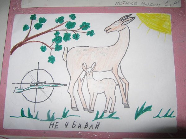 Плат берегить животных