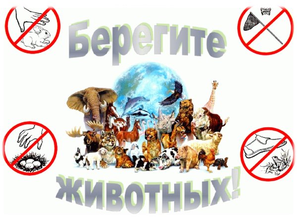 Берегите животных