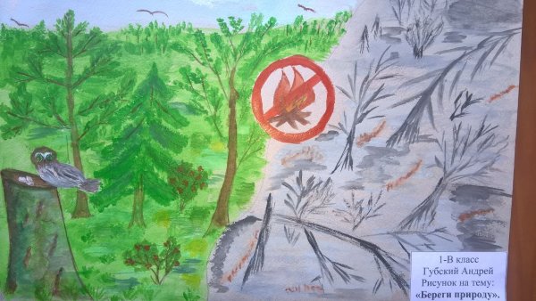 Рисунок на тему береги природу