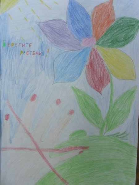 Бериги е растения плакат