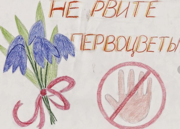 Плакат на тему берегите растения