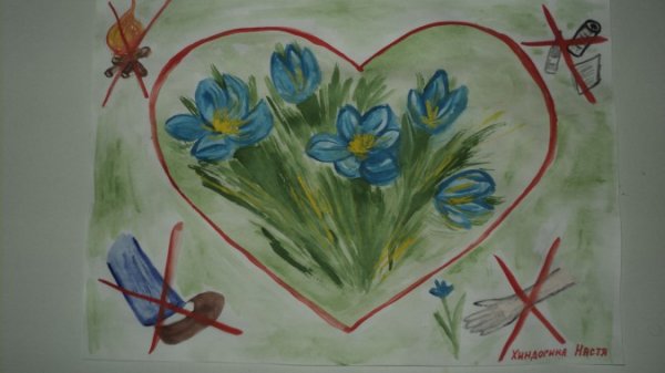 Рисунок на тему береги природу