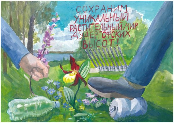 Плакат берегите растения