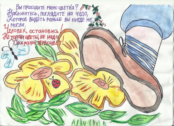 Плакат в защиту редких растений