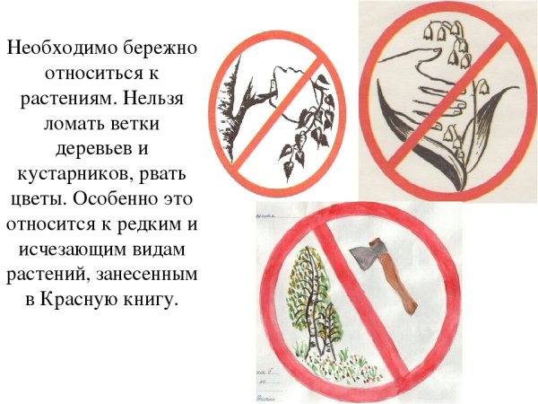 Не рви цветы