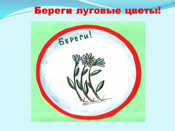 Берегите природу