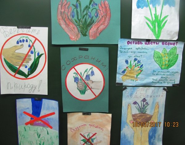 Плакат берегите растения