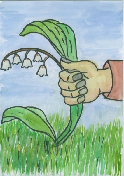 Берегите первоцветы