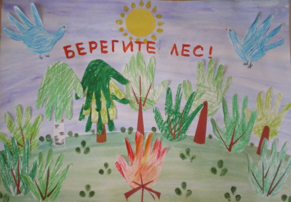 Не рви растения