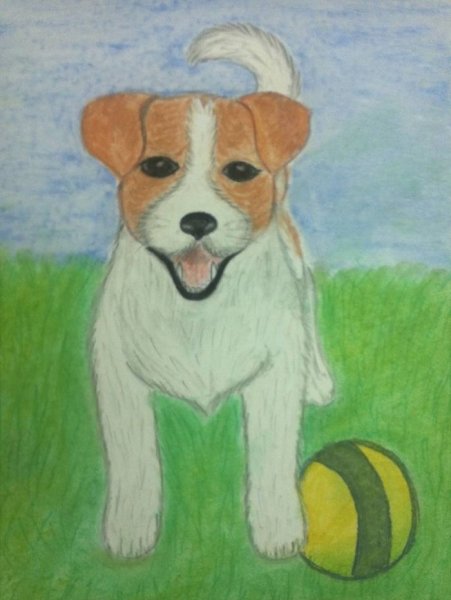 Рисункиина свободную тему