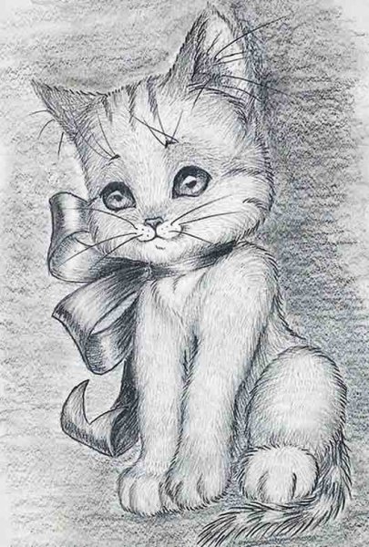 Котик рисунок карандашом