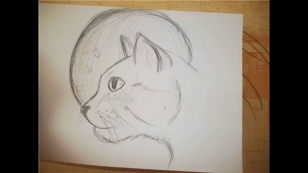 Рисунки на альбомном листе карандашом