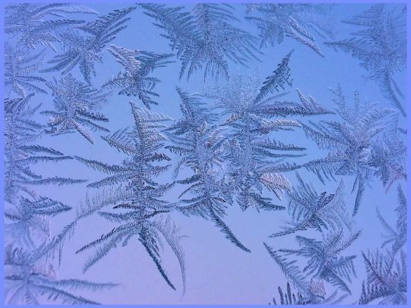 Зимние узоры изо