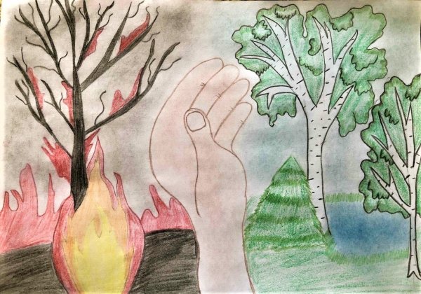 Рисунки на тему сьереги природу