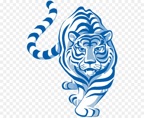 Год тигра вектор