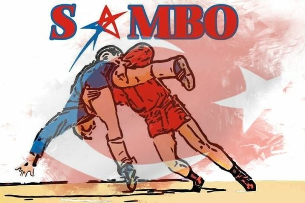 Самбо плакат