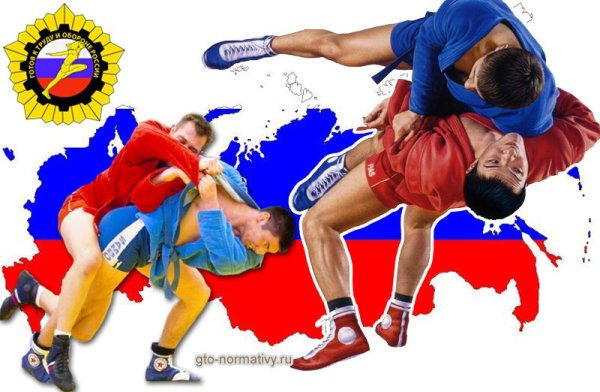 Баннеры по самбо