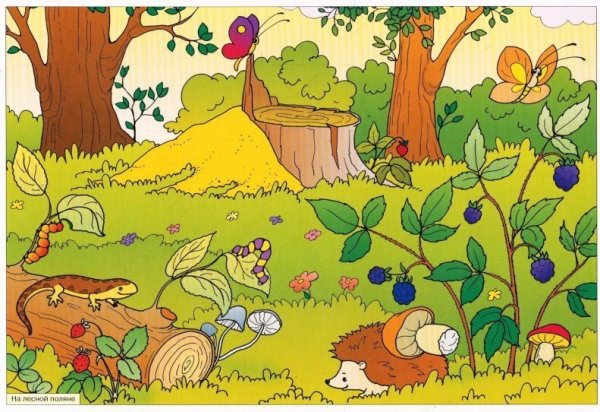 Полянка в лесу для детей