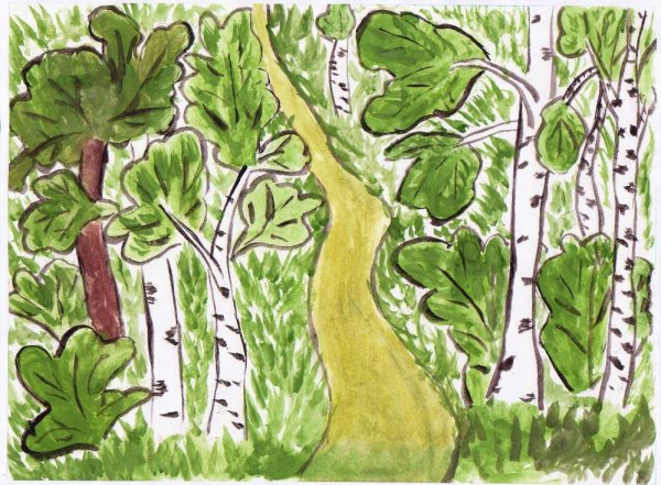 Рисунки широколиственных лесов