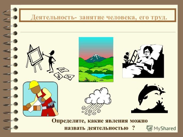 Виды деятельности рисунок