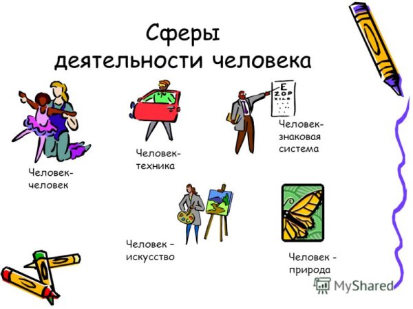 Сферфыдеятельнсоти человека