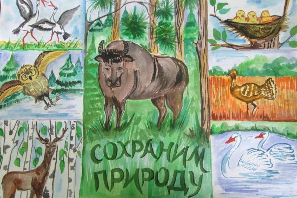 Плакат охрана животных