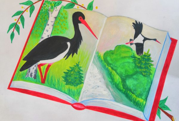 Красная книга рисунок