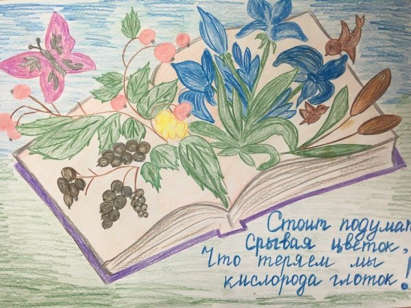 Рисунок берегите растения