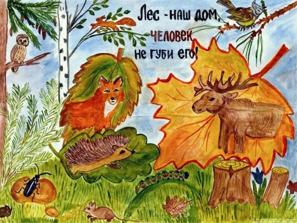 Плакат берегите животных