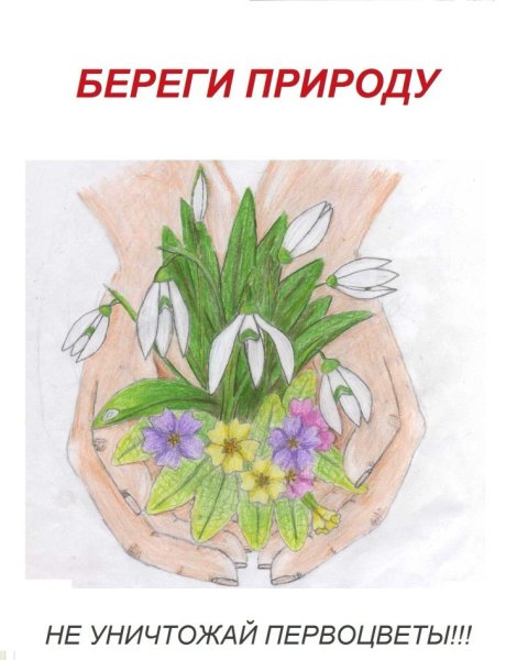 Сохраним первоцветы