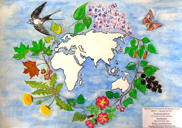 Рисунок на тему мир природы