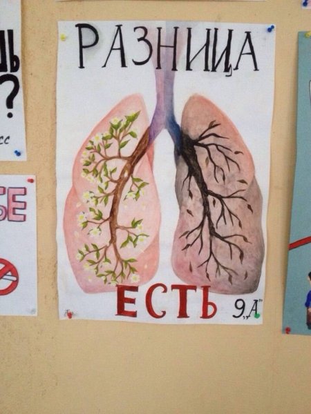 Плакаты прости курения