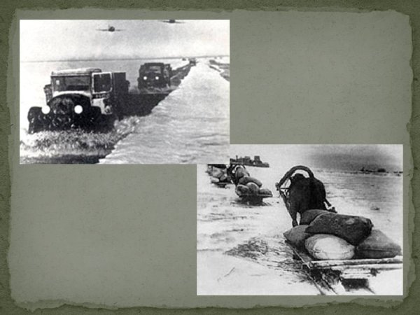 Дорога смерти Ленинград блокада