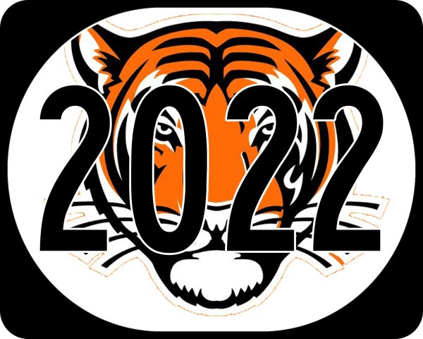 Год тигра 2022 Тигренок