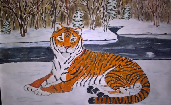 Рисунок на тему Амурский тигр