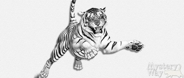 Год тигра 2022 рисунок