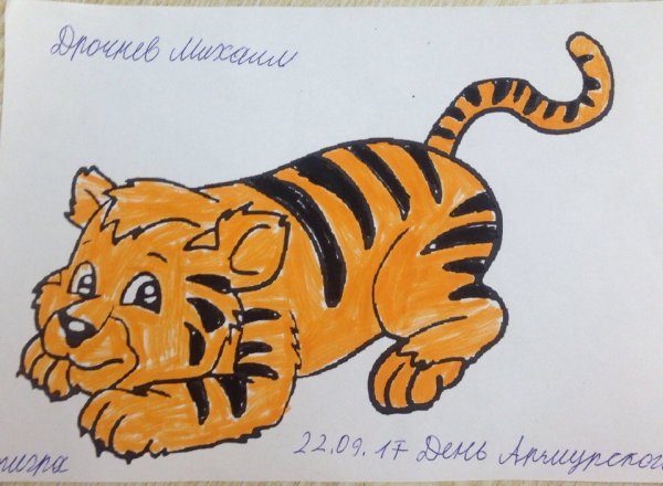 Год тигра 2022