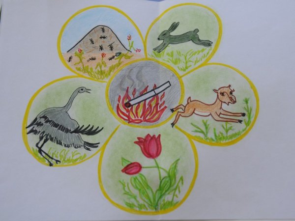 Рисунок по охране природы