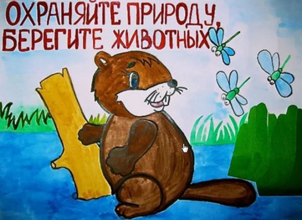 Плакат заповедник