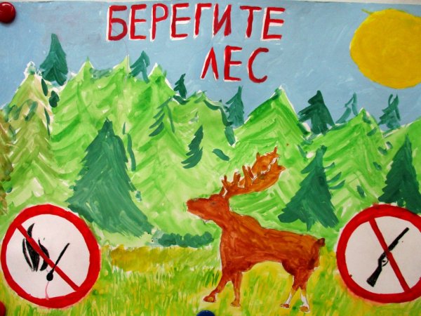 Рисунок на тему береги природу