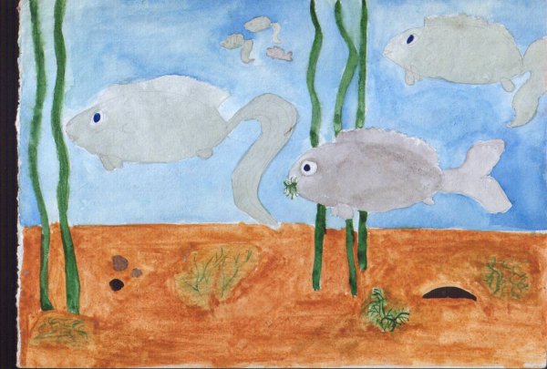 Рисование Мои домашние питомцы