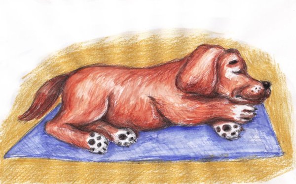 Рисунок на тему собака