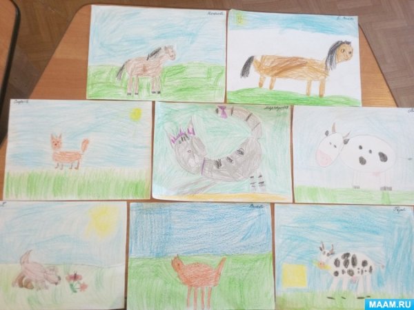 Рисование домашнего животного в подготовительной группе