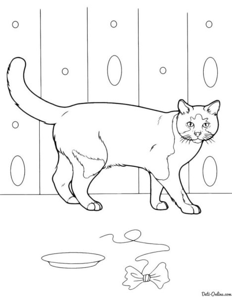 Кошка картинка для детей раскраска