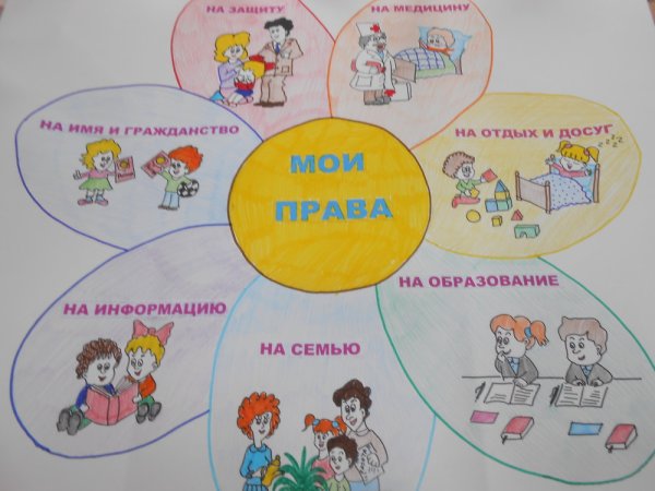 Право на образование рисунок