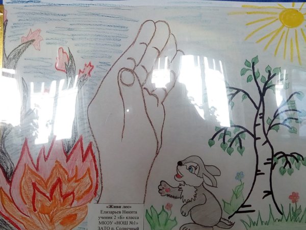 Рисунок о бережном отношении к природе