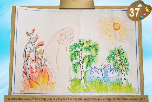 Рисунок на тему сохранение природы